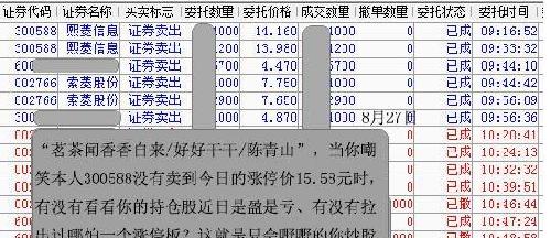 最准一码一肖100%噢｜免费一码公开，精准预测_深入数据解释定义