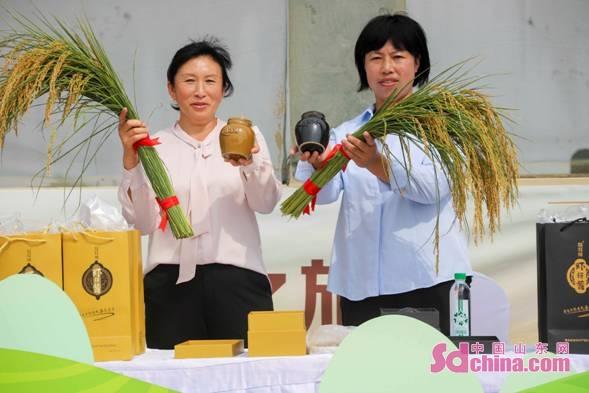 青岛芋头最新价格｜青岛芋头现价查询