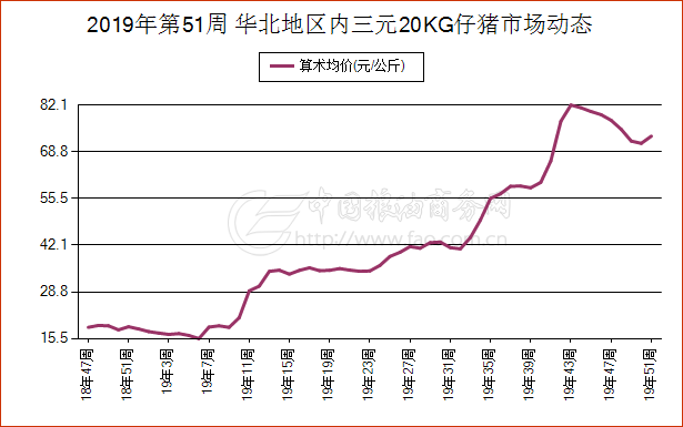 河北生猪市场最新价格动态