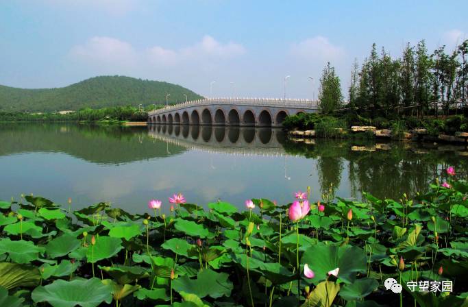 云龙湖风景区最新